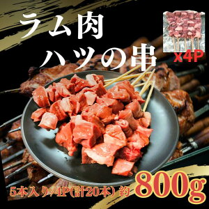 y󏭕ʁznc 20{(5{/4P) ĂȒP Ɩpɂ BBQ CxgpɍœK  Ⓚ r  nc Ă