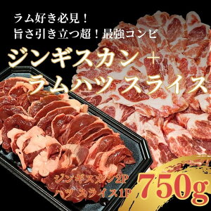 yŋ̑gݍ킹z WMXJ  Zbg XI WMXJ250g/2P 󏭕 nc XCX 250g/1P BBQ ē wV[  Mtg  ʔ Jbg r