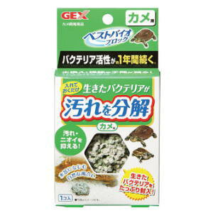 WFbNX GEX xXgoCIubN Jp