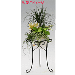 �y5��25������I�ő�100���|�C���g�o�b�N�z�T���J �f�R���[�V�����X�^���h 400mm GD-0310