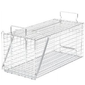 y12͖JÁIGg[ōő100|CgobNzhH hqY ߊl D type No.302 TN-2