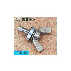 VYƃK\gъ GAlW@TS-2[TS2IvVp[c] [K\gs]