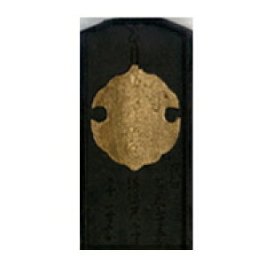 u Ō`n Ί] 2.0 SM-0747ynz