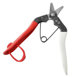 y1125Iő100|CgobNzP ̉ g-n No.301