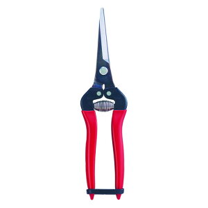 �y12���͖����J�ÁI�G���g���[�ōő�100���|�C���g�o�b�N�z�A���X �E�����G�N�X�g�������O�^�C�v �u���X�^�[ 300LL-BP