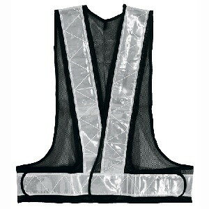 y1125Iő100|CgobNzˈSxXg lCr[×Vo[ t[TCY 292506 A[NY