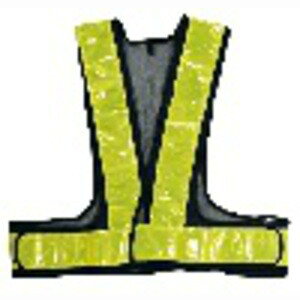 ˈSxXg V[g lCr[×CG[ t[TCY 292509 A[NY