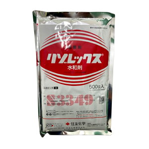 y1125Iő100|CgobNz]bNXa 500g