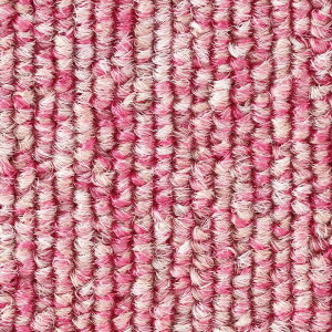 �y12���͖����J�ÁI�G���g���[�ōő�100���|�C���g�o�b�N�z�X�~�m�G �^�C���J�[�y�b�g ECOS LP-2000N�V���[�Y LP-2070N �h�� ���d �h���E���� 50×50cm 20���� �P�[�X�̔�