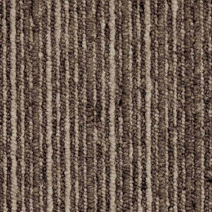 �y2��5������I�ő�100���|�C���g�o�b�N�z�X�~�m�G �^�C���J�[�y�b�g ECOS LX-1000�V���[�Y LX-1005 50×50cm 20���� �P�[�X�̔�