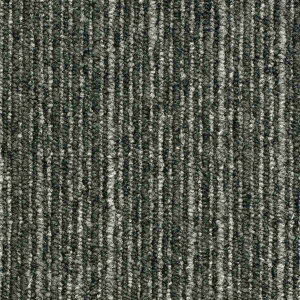 �y2��5������I�ő�100���|�C���g�o�b�N�z�X�~�m�G �^�C���J�[�y�b�g ECOS LX-1000�V���[�Y LX-1008 �h�� ���d �h���E���� 50×50cm 20���� �P�[�X�̔�