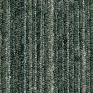 y12͖JÁIGg[ōő100|CgobNzX~mG ^CJ[ybg ECOS LX-1000V[Y LX-1122 h d hE 50×50cm 20 P[X̔