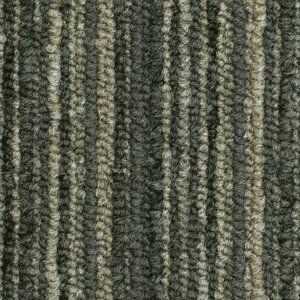 �y2��5������I�ő�100���|�C���g�o�b�N�z�X�~�m�G �^�C���J�[�y�b�g ECOS LX-1000�V���[�Y LX-1126 �h�� ���d �h���E���� 50×50cm 20���� �P�[�X�̔�