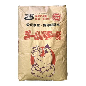 y9͖JÁIGg[ōő100|CgobNz` {pS[hG[X 15kg pt[h {̉a