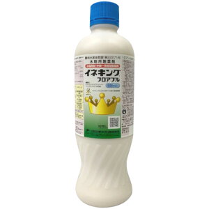 ���i�摜