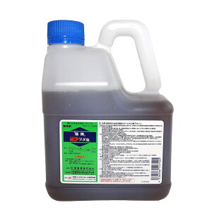 y115Iő100|CgobNzMCP\[_ 1.5kg