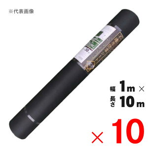 VZC sDzhV[g  ubN 1×10m ×10{ Zbg̔ y[J[EsEuzsz