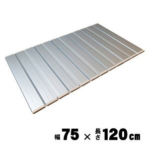 v Ag܂肽ݕCӂ ^bNO[ 75×120cm L12 Ct^ CW