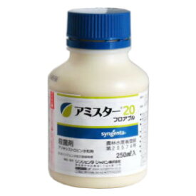 【6月5日限定！最大100％ポイントバック】アミスター20フロアブル 250ml