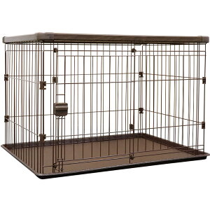 CeAt[T[N uE ybgT[N ybgP[W p   A[NY