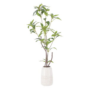 不二貿易 フェイクグリーン ギンモクセイ セラミックポット FB-3091648 【メーカー直送・代引不可・置配不可・配送地域限定】