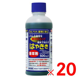 y1015Iő100|CgobNzn[g  ͂₫ 500ml ×20 P[X̔