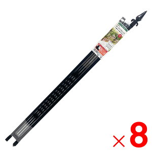 y12͖JÁIGg[ōő100|CgobNz_C DAIM K[ftFX 90×120cm Ԓd  Ő d؂  ×8Zbg Zbg̔