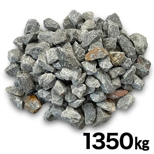 y9͖JÁIGg[ōő100|CgobNzlNX^C ԏ̃W 1350kg(810bg) TSZ90  Ӑ y[J[EsEuzsEznz