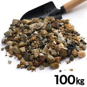 lNX^C  嗱 100kg (65bg) JD5 y[J[EsEuzsEznz