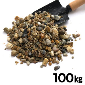 lNX^C   100kg (65bg) JS5 y[J[EsEuzsEznz