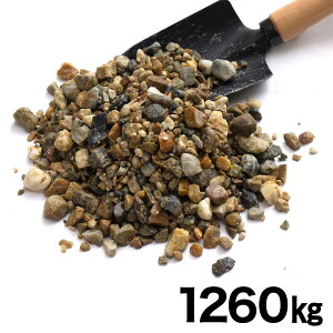 lNX^C   1260kg (819bg) JS63 y[J[EsEuzsEznz