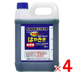 n[g  ͂₫ 5L ×4 P[X̔