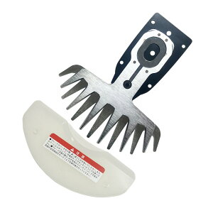 y12͖JÁIGg[ōő100|CgobNzECU WIZA [dŐoJWZG-18Bp֐n WZGB-160 A[NY