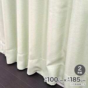 �Ռ��f�M�`��L���J�[�e�� �u���b�N 100cm×185cm �O���[�� 2���g 804K1185GR �y���[�J�[�����E����s�E�u�z�s�z