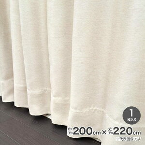 �Ռ��f�M�`��L���J�[�e�� �u���b�N 200cm×220cm �x�[�W�� 804K222BE �y���[�J�[�����E����s�E�u�z�s�z