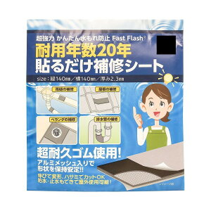 �Z�m�n�E�X�p�� �\�邾����C�V�[�g 140×140mm �u���b�N 1���� Fast Flash