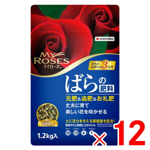 y9͖JÁIGg[ōő100|CgobNzZFw| }C[Y΂̔엿 1.2kg ×12 Zbg̔