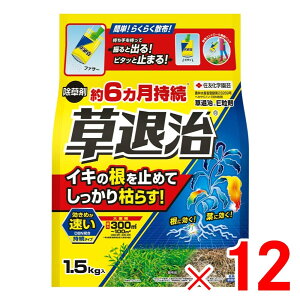 ZFw| ގE 1.5kg ×12 Zbg̔