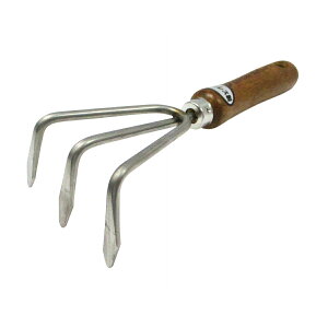 K[fwp[ XeXؕF 721135 A[NY