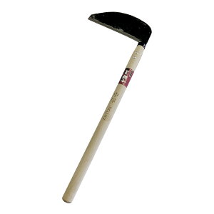 y12͖JÁIGg[ōő100|CgobNzᎂq  180mm 706022 A[NY