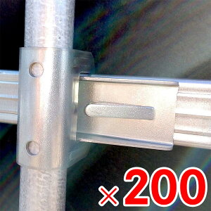 y9͖JÁIGg[ōő100|CgobNzs hApCvWCg 19 DPJ-19 200 y[J[EsEuzsz
