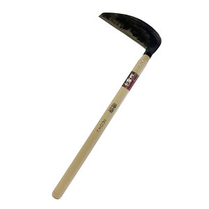 y12͖JÁIGg[ōő100|CgobNzᎂq  180mm 706021 A[NY