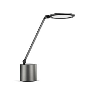 y12͖JÁIGg[ōő100|CgobNztBbvX ȃXy[XfXNCg DSK603