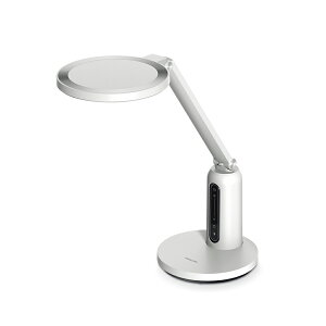 �t�B���b�v�X �f�X�N���C�g �ʔ������f�� DSK605