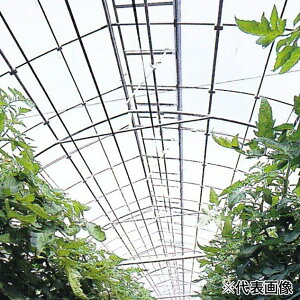 y12͖JÁIGg[ōő100|CgobNz_CX^[ W_POtB rj[nEXp 2.5×4 y[J[EsEuzsz