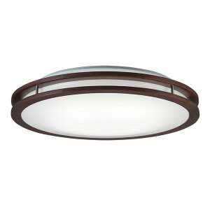 y12͖JÁIGg[ōő100|CgobNzz^NX LEDV[OCg A[oI[N 12 F HLDC12304SG