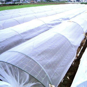 {ChNX hlbg TTlbg 1mmڍ 1.5m×44m EX2000 y[J[EsEuzsz