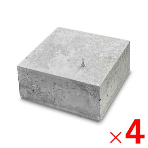 y12͖JÁIGg[ōő100|CgobNzlNX^C sRx[X 200×200×H100mm ×4 RN[gubN d  PH4 y[J[EsEuzsEz