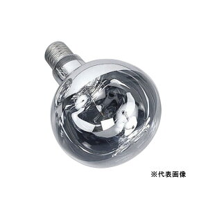 n^ HATAYA tN^[v 200W 110V E26 Op RS-200WH