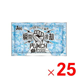 ACXWp uԗppbN p`N[ ۗ×25 Zbg̔